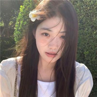 鹤唳华亭